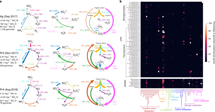 Fig. 3: Metabolic profile of groundwater communities.