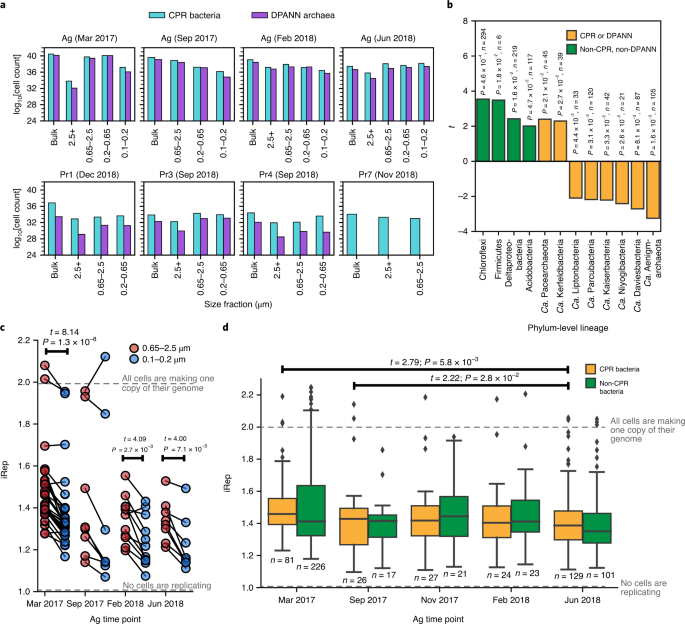 Fig. 6: Analysis of host attachment and growth rates of CPR/DPANN organisms.