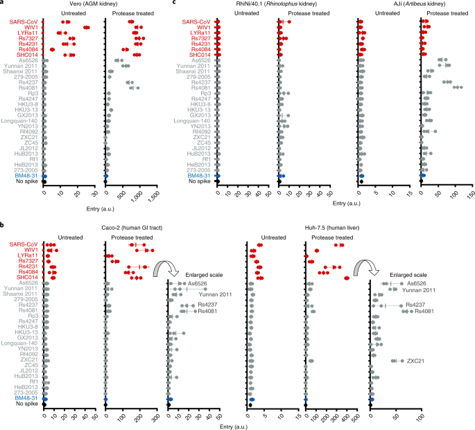 Functional Assessment Of Cell Entry And Receptor Usage For Sars Cov 2 And Other Lineage B Betacoronaviruses Nature Microbiology