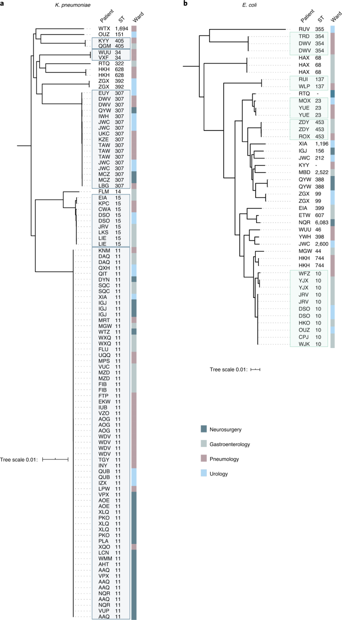 Pervasive Transmission Of A Carbapenem Resistance Plasmid In The Gut Microbiota Of Hospitalized Patients Nature Microbiology