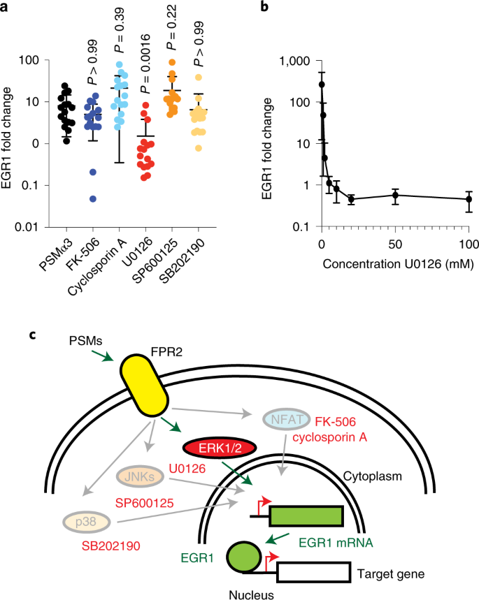 Rapid Pathogen Specific Recruitment Of Immune Effector Cells In The Skin By Secreted Toxins Nature Microbiology Rapid Pathogen Specific Recruitment Of Immune Effector Cells In The Skin By Secreted Toxins Nature Microbiology