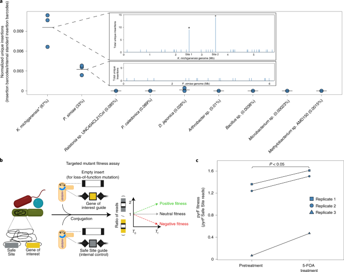 Species- and site-specific genome editing in complex bacterial communities  | Nature Microbiology