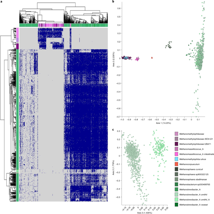 A catalogue of 1,167 genomes from the human gut archaeome | Nature  Microbiology