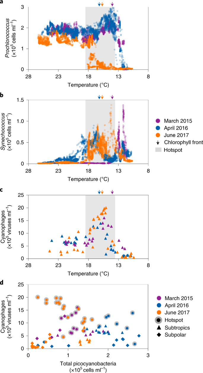 Fig. 2: Shifts in the distributions of Prochlorococcus, Synechococcus and cyanophages in the North Pacific Ocean.