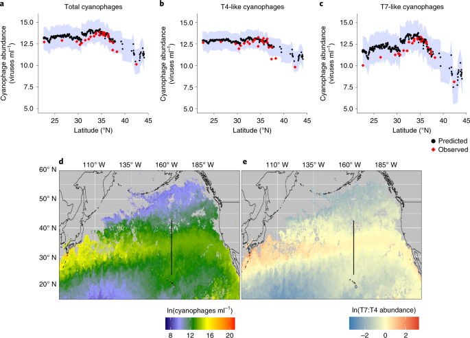 Fig. 5: Prediction of cyanophage abundances.