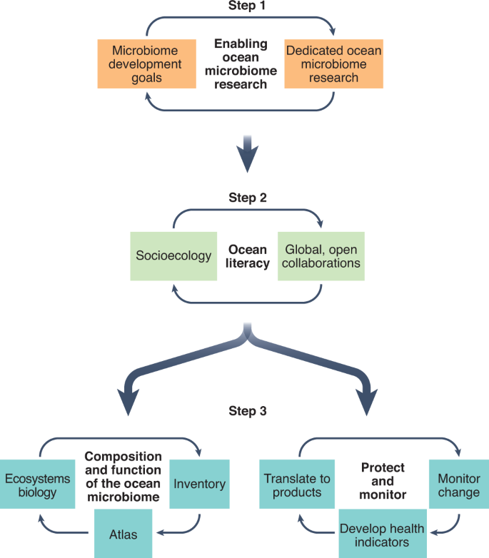 OpenLiteracy