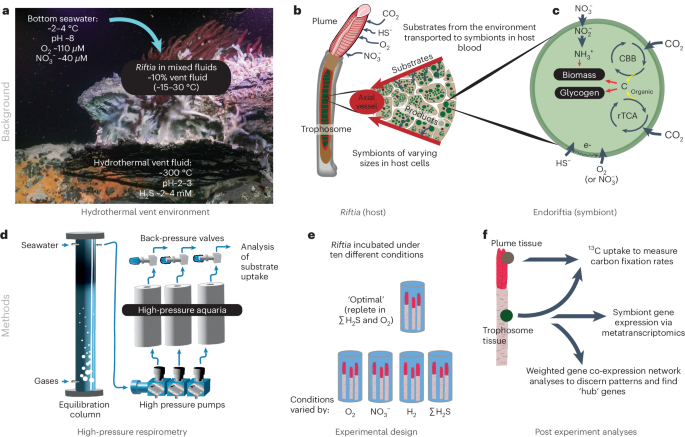 Fig. 1: Background, study design and methods used.