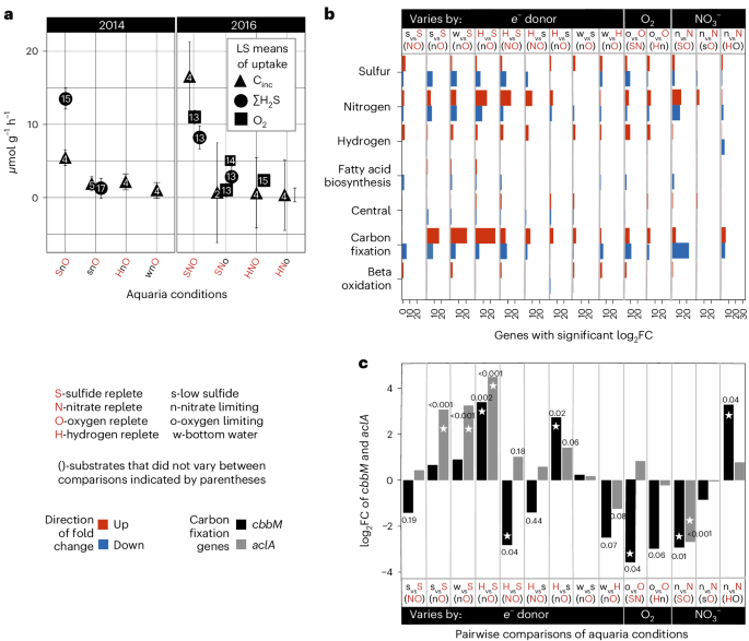 Fig. 2: Uptake rates and gene expression under varying conditions.