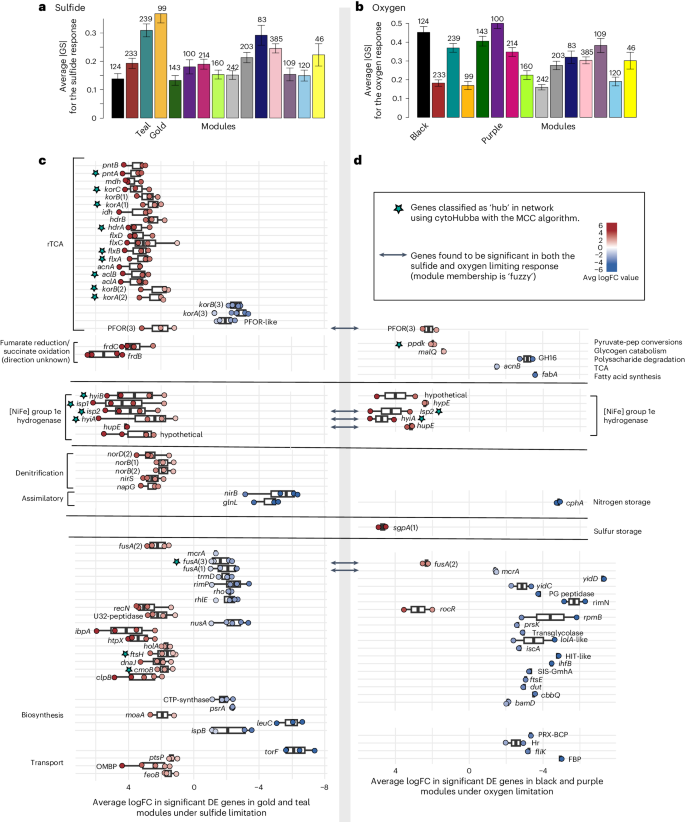 Fig. 6: Gene expression patterns for genes most significantly associated with the sulfide or oxygen limitation response.