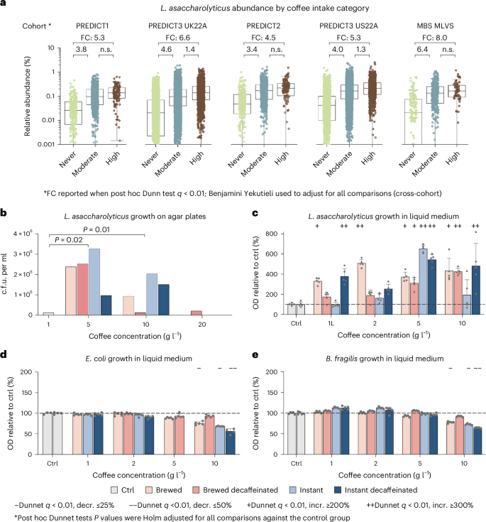 Lawsonibacter asaccharolyticus abundance and in vitro growth with coffee