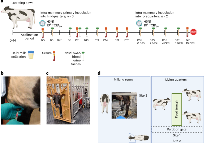 Fig. 1: Study design.