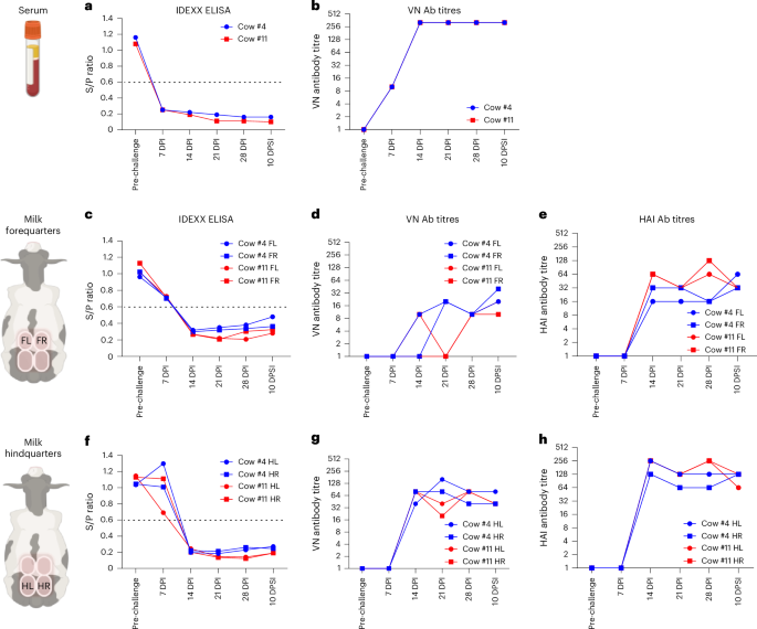 Fig. 6: Antibody responses.