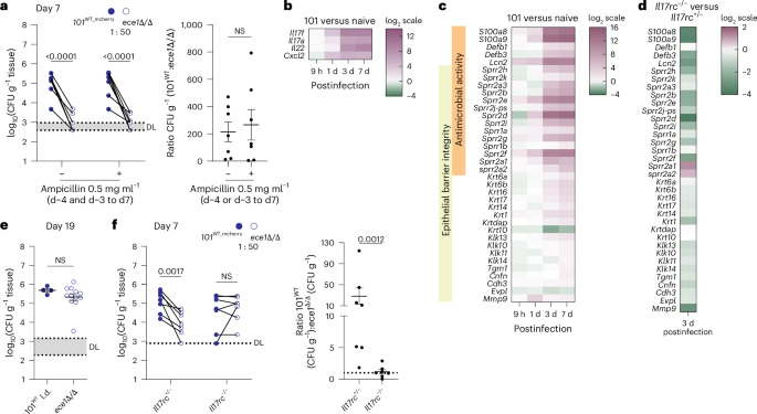 Fig. 3: Candidalysin confers resistance to host antifungal responses.