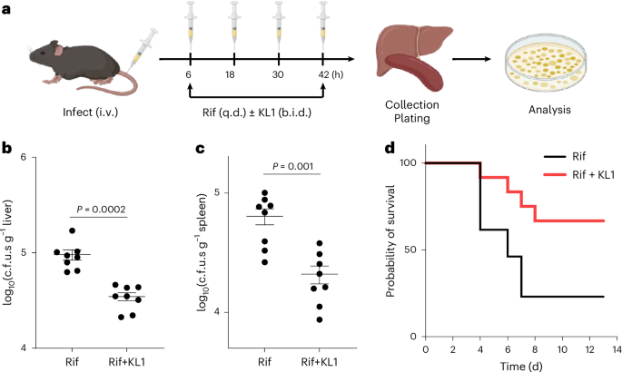 bpc 157 and antibiotics A host-directed adjuvant sensitizes intracellular bacterial persisters to  antibiotics