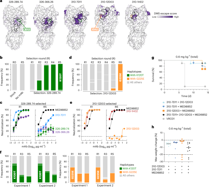 Fig. 6: Virus escape generation and in vivo protection with co-administered mAbs.
