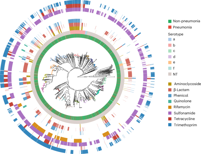 Fig. 2: Phylogeny of Maela H. influenzae genomes for 3,970 isolates.