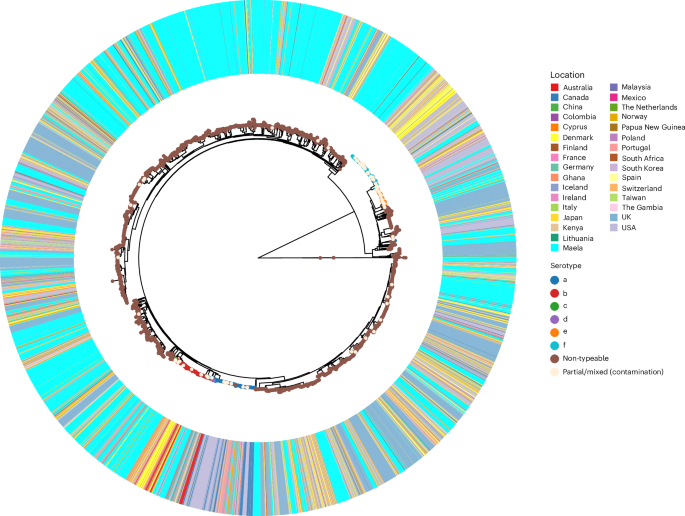 Fig. 3: Global H. influenzae phylogeny.