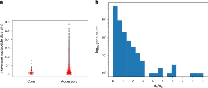 Fig. 4: Nucleotide diversity dN/dS across the H. influenzae pangenome.