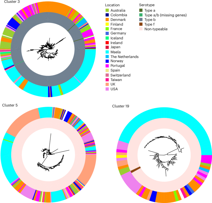 Fig. 5: Phylogenies of MDR H. influenzae lineages.