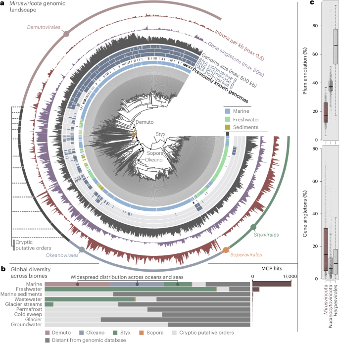 Fig. 1: Genomic landscape of the phylum Mirusviricota.