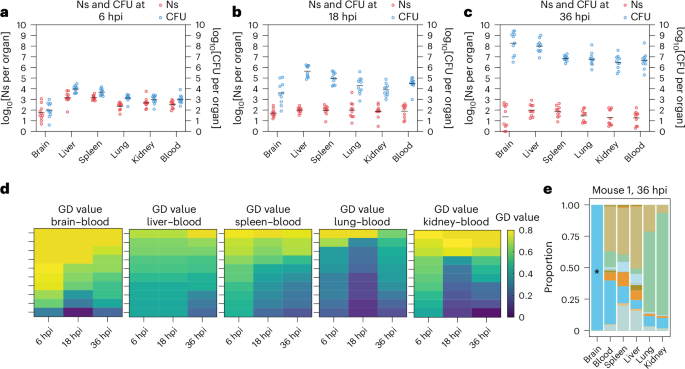 Fig. 2: Analysis of S. zooepidemicus infection dynamics with barcoded bacteria.