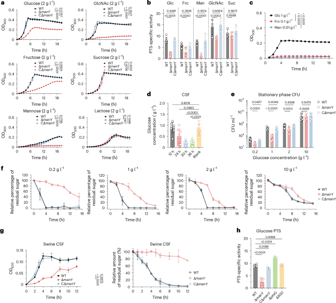 Fig. 4: PTSman is critical for glucose utilization under low glucose concentrations.