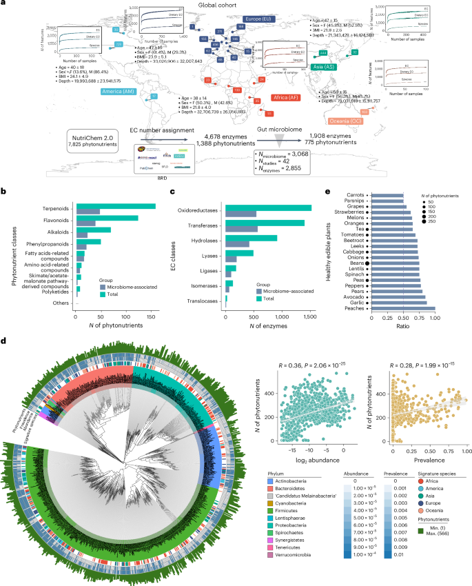 Fig. 1: Linking the small molecules in edible plants with the gut microbiome enzymatic reservoir.