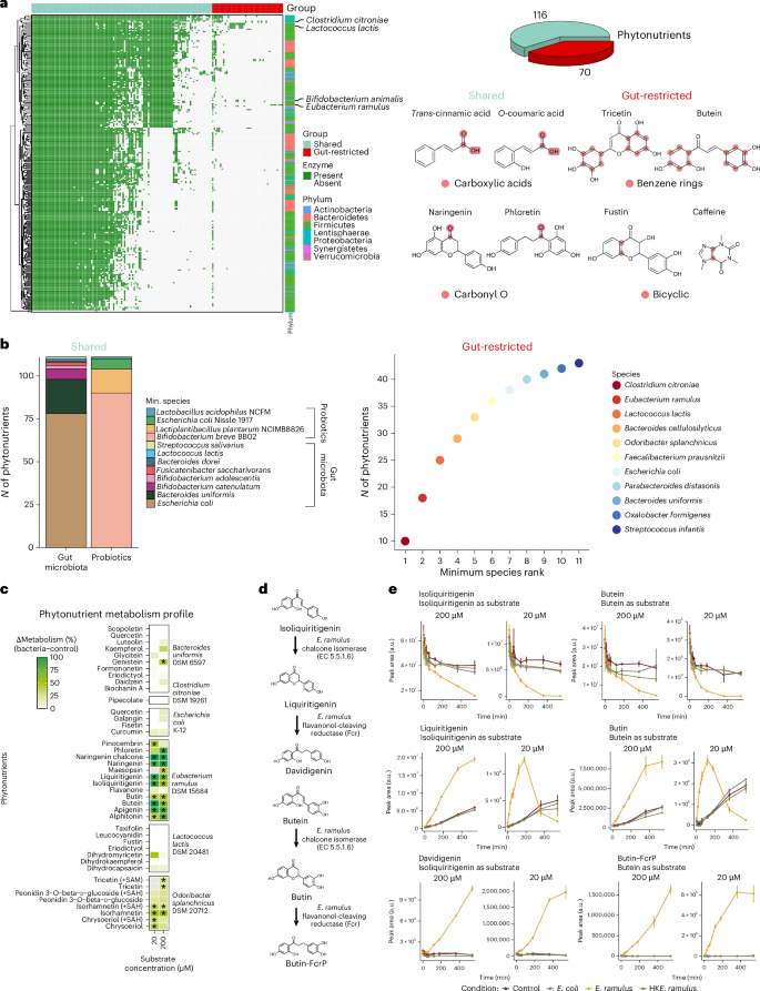 Fig. 2: Comparison of the biotransformation potential of phytonutrients by the gut microbiota and probiotics.