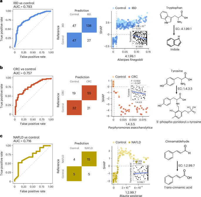 Fig. 4: Discrimination between healthy and diseased individuals based on the biotransformation of the phytonutrient space of healthy foods by gut bacterial enzymes.