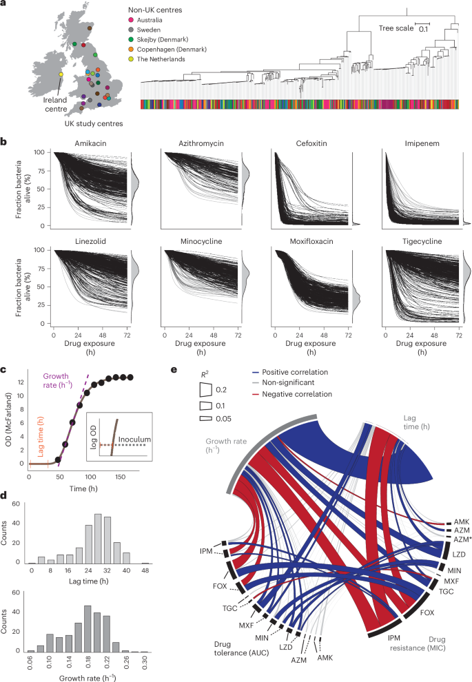Fig. 3: Antibiotic tolerance is a distinct measure of antibiotic efficacy.