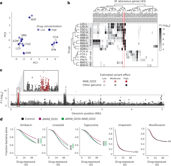 Fig. 6: Drug tolerance is target specific.