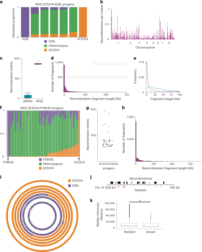 Fig. 3: WGS shows that parasex produces highly recombinogenic progeny.