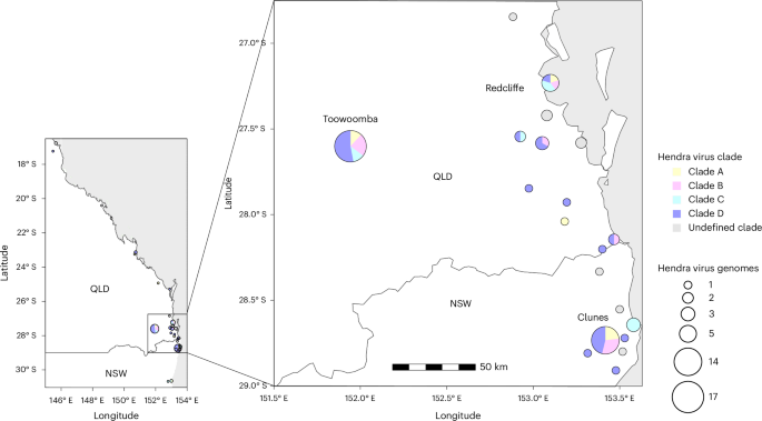 Fig. 2: Spatial distribution of HeV-g1 clades in subtropical Australia.