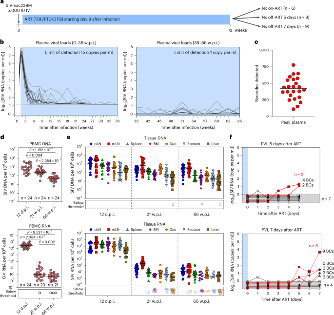 Fig. 1: Study schematic and baseline viral measurements.