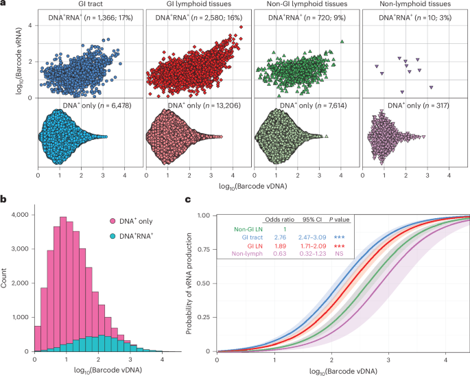 Fig. 2: On-ART necropsy vDNA and vRNA comparisons per barcode overall and within each tissue group.
