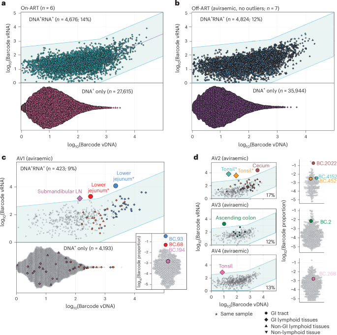 Fig. 3: Detection of viral barcode lineages with vRNA expression enriched above on-ART macaques.