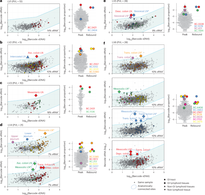 Fig. 4: Off-ART, low-viraemic macaques demonstrate linkage between tissue outlier barcodes and rebounding virus in plasma.