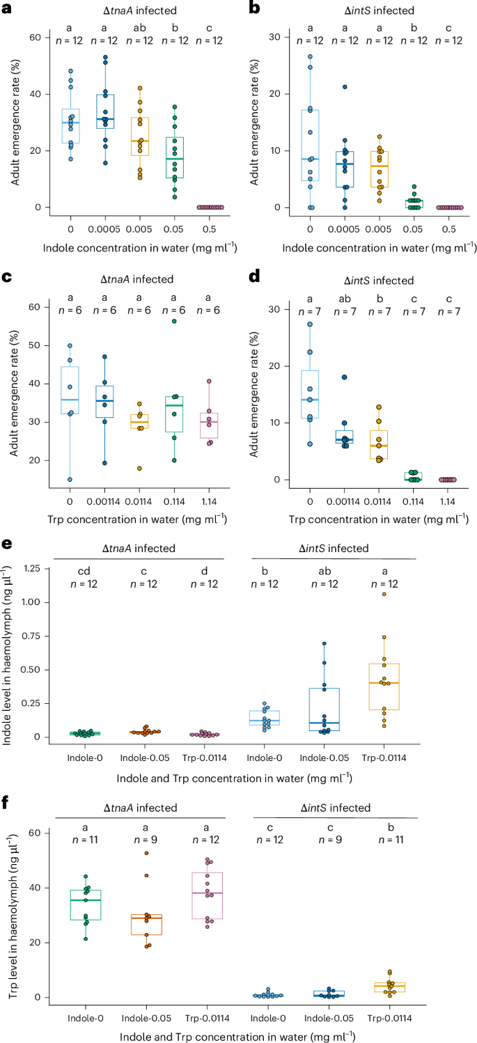 Fig. 2: Effects of oral administration of indole and tryptophan on P. stali infected with tryptophanase-disrupted and control E. coli.