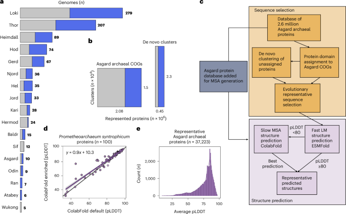 Fig. 1: Modelling the Asgard archaeal structural pangenome.