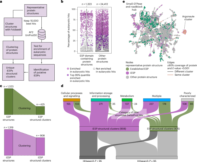 Fig. 3: Structure-guided identification of functionally diverse iESP structural clusters.