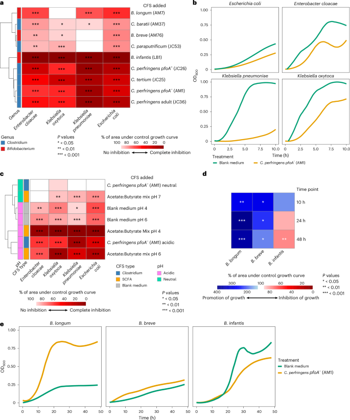 Fig. 3: Clostridium spp. CFSs suppressed pathogen growth without impacting naturally occurring Bifidobacterium spp. growth.