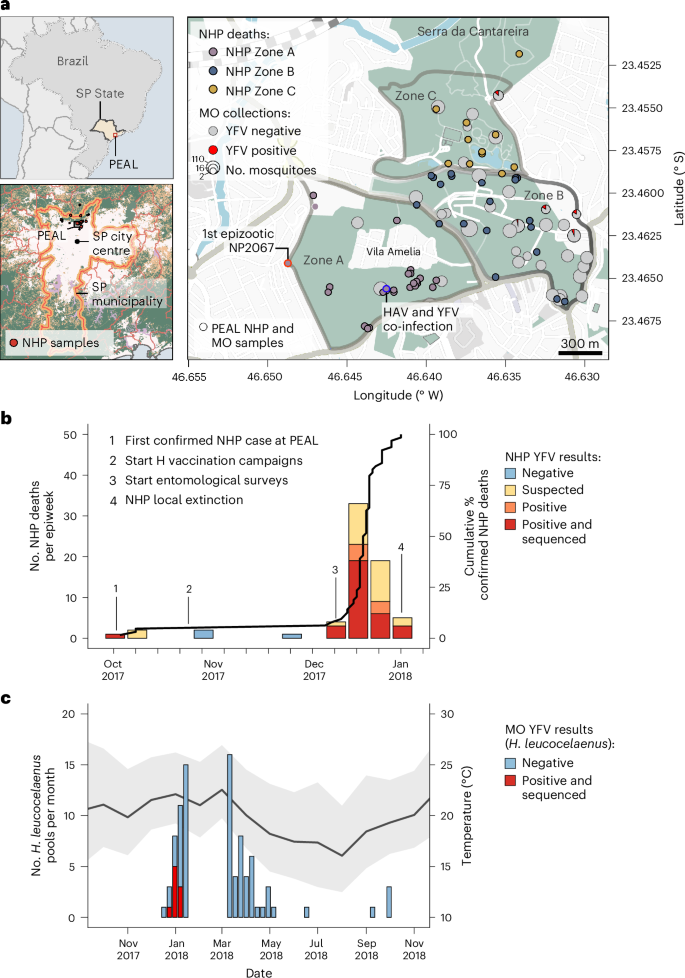 Fig. 1: Spatial and temporal context of the YFV epizootic in PEAL’s State Park (São Paulo, Brazil).