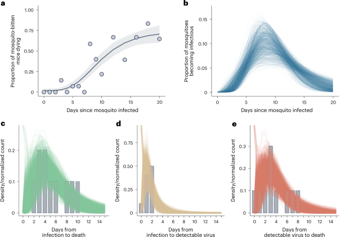 Fig. 4: Empirical and estimated distributions informing key temporal parameters of YFV epidemic dynamics in a sylvatic cycle.