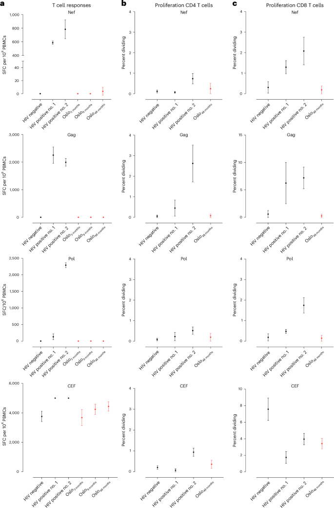 Fig. 4: T cell responses and proliferation assays of T cells.