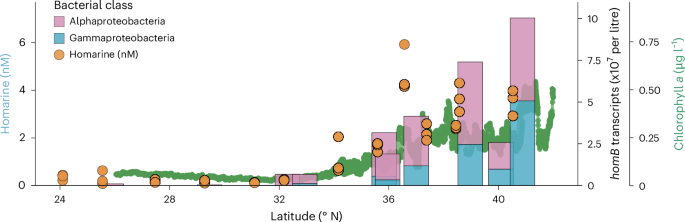 Fig. 4: In situ expression of homB aligns with homarine abundance in the environment.