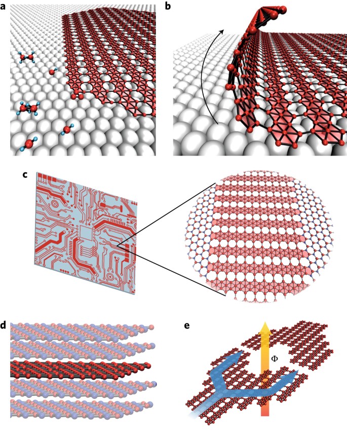 Borophene as a prototype for synthetic 2D materials development 