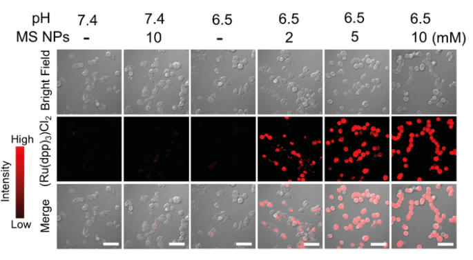 figure 40