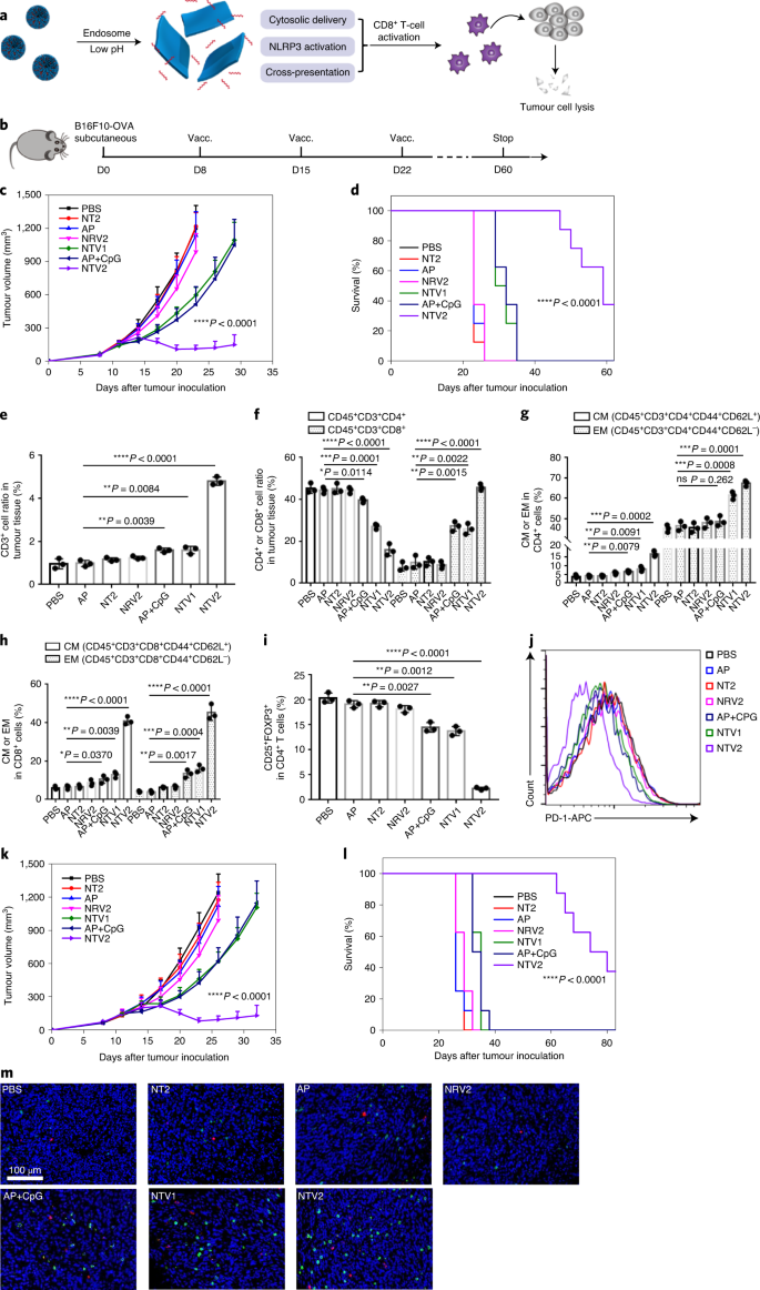 Proton Driven Transformable Nanovaccine For Cancer Immunotherapy Nature Nanotechnology