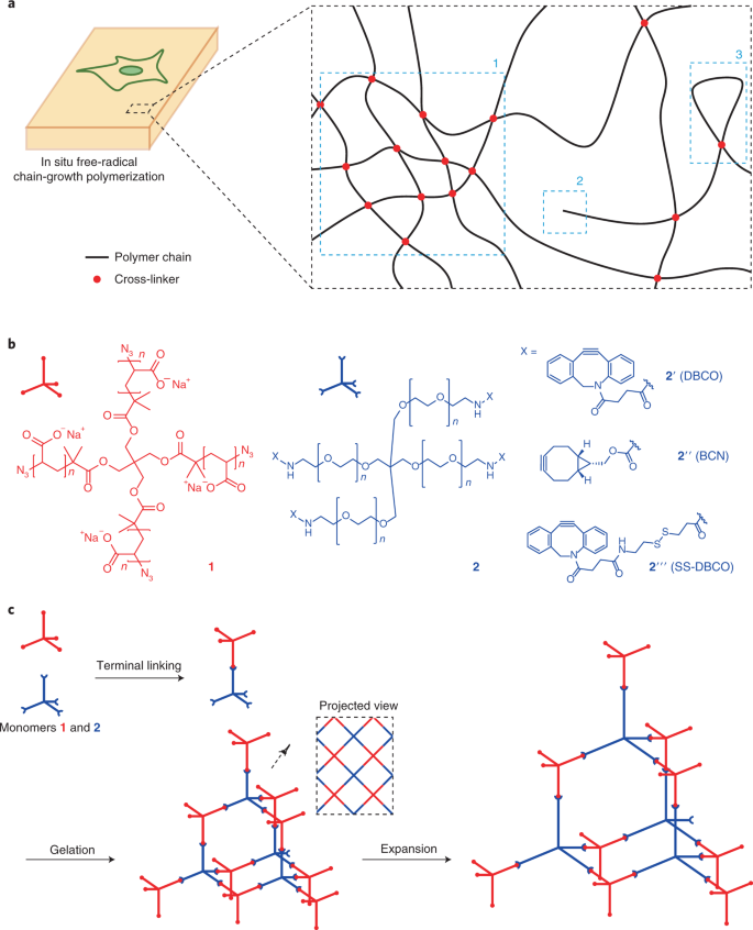 A Highly Homogeneous Polymer Composed Of Tetrahedron Like Monomers For High Isotropy Expansion Microscopy Nature Nanotechnology A Highly Homogeneous Polymer Composed Of Tetrahedron Like Monomers For High Isotropy Expansion Microscopy Nature Nanotechnology