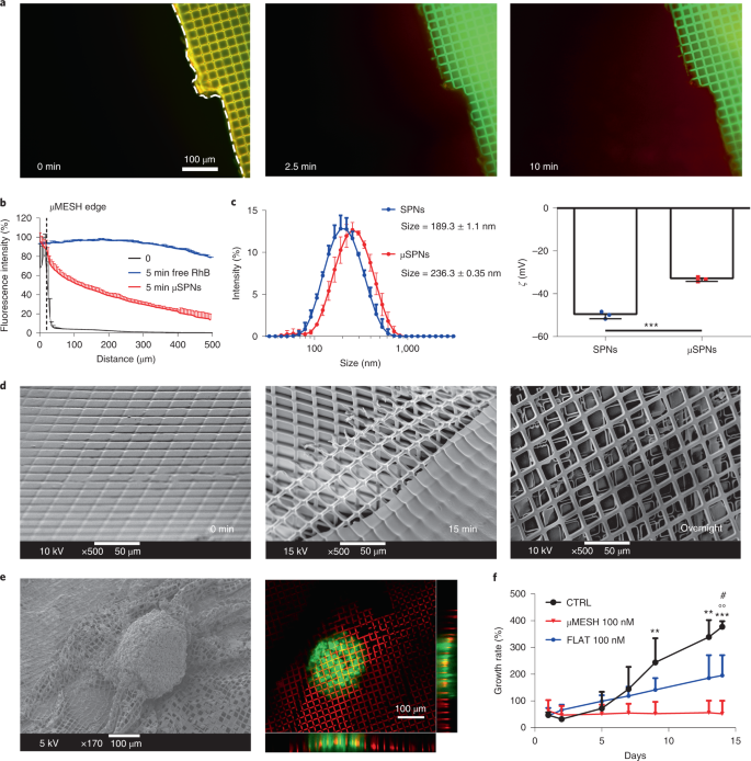 Conformable Hierarchically Engineered Polymeric Micromeshes Enabling Combinatorial Therapies In Brain Tumours Nature Nanotechnology